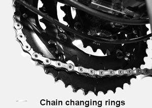 Ride your chain back on