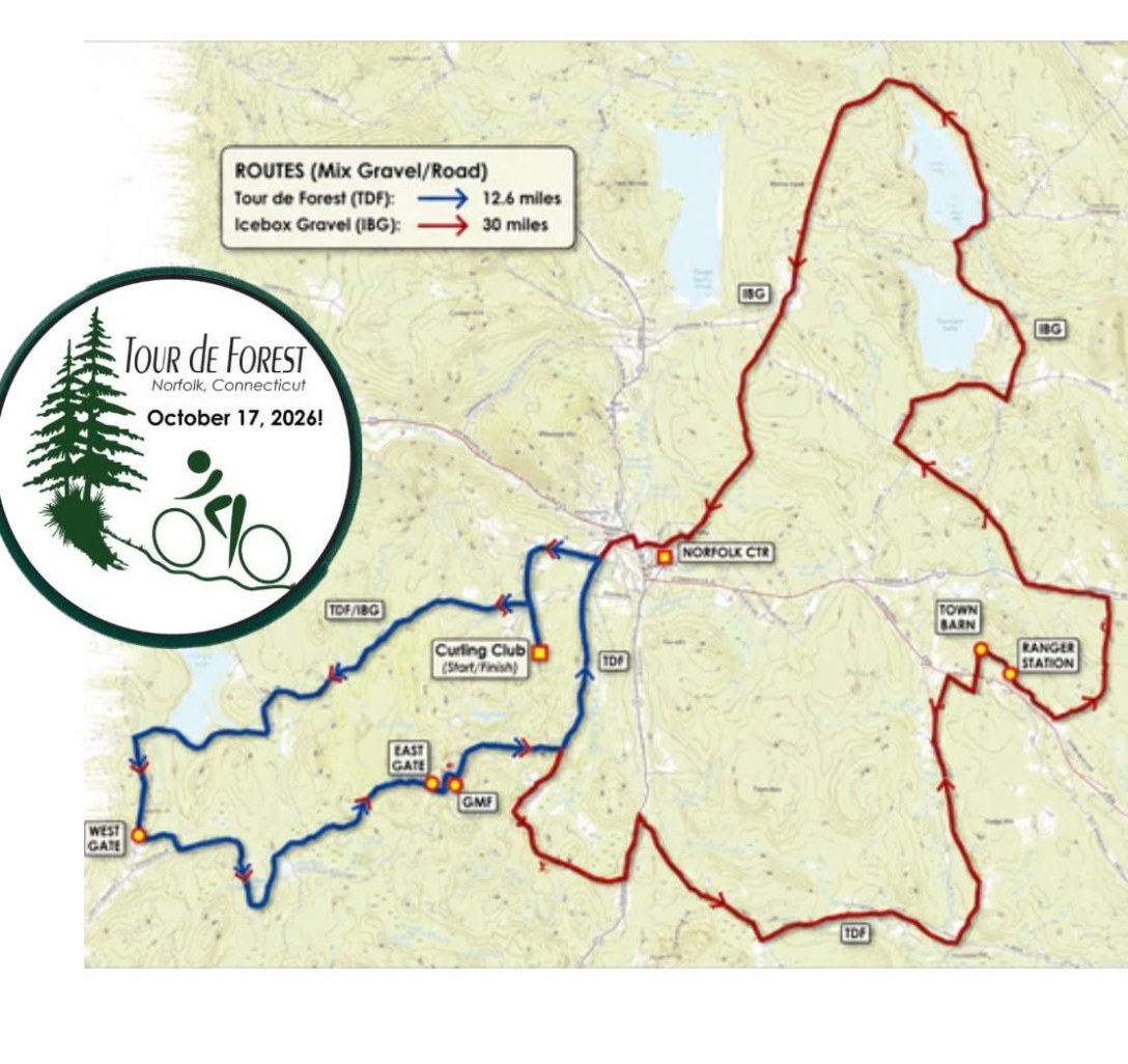 Tour de Forest